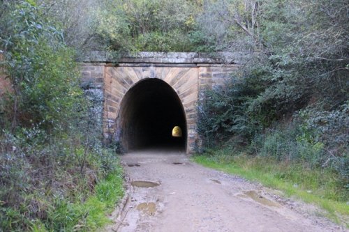 Грибной туннель в Австралии