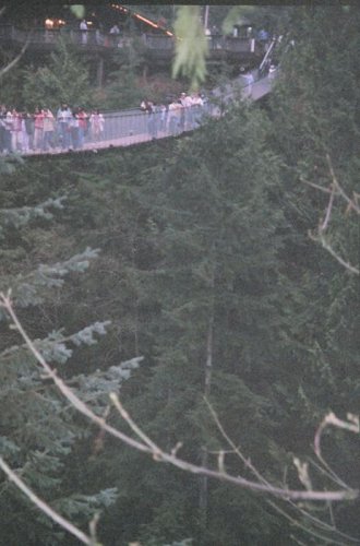Подвесной мост над рекой