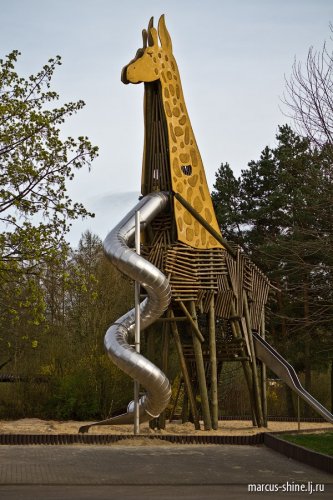 Сафари-парк в Германии