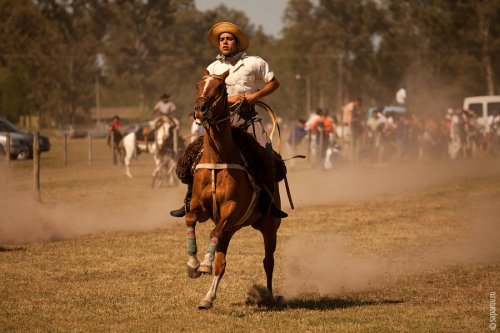 Фестиваль гаучо Fiesta de la Tradicion