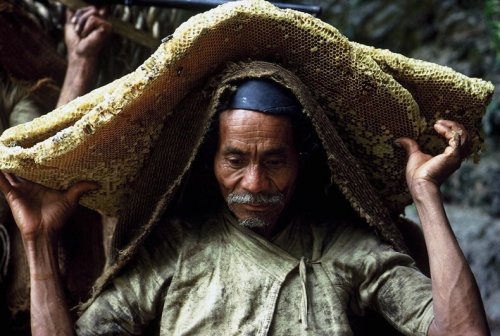 Непальские охотники за медом