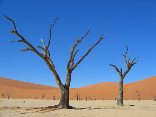 Необычные пустыни