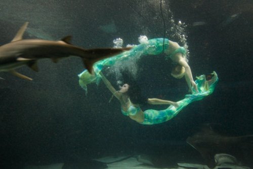 Природный аквариум с русалками