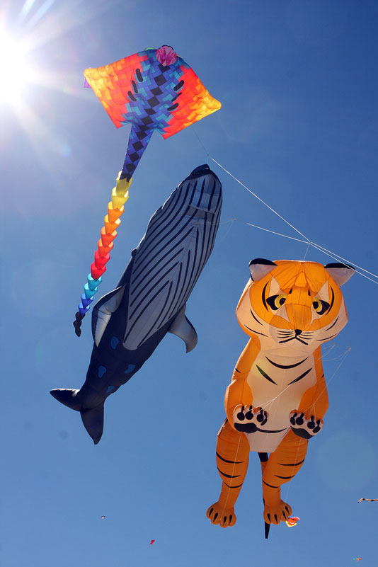 Поразительные воздушные змеи Фестиваля Ветров, прошедшего на Бонди Бич (Bondi Beach)