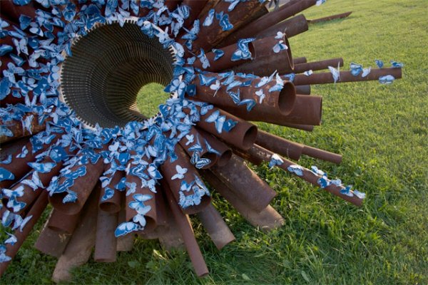 Магнитные цианотипические инсталляции бабочек от Таши Льюис (Tasha Lewis)