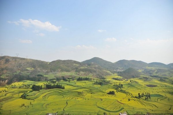Рапсовые поля в Люпинге (Luoping), Китай