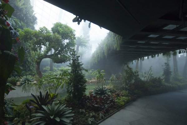 Уникальные Зимние сады, построенные в Сингапуре