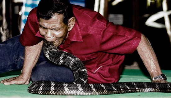 Таиландская «Деревня Кобр», где люди и змеи живут в гармонии