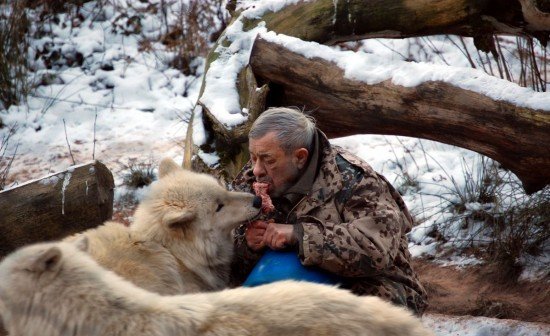 Жизнь с волками: удивительная история Вернера Фройнда