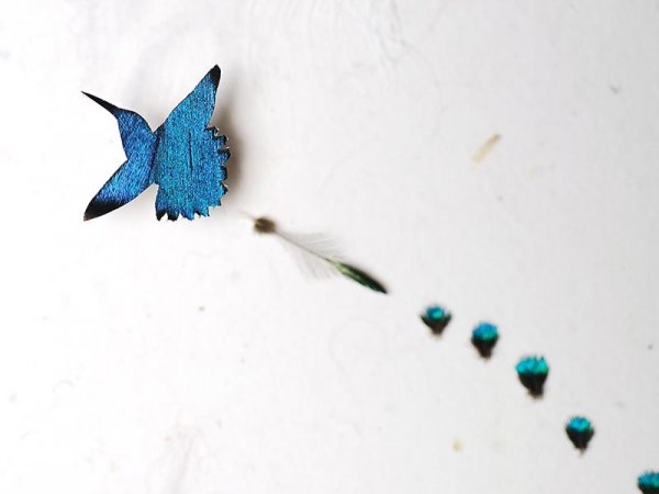 Восхитительные миниатюры из перьев, созданные Крисом Мэйнардом