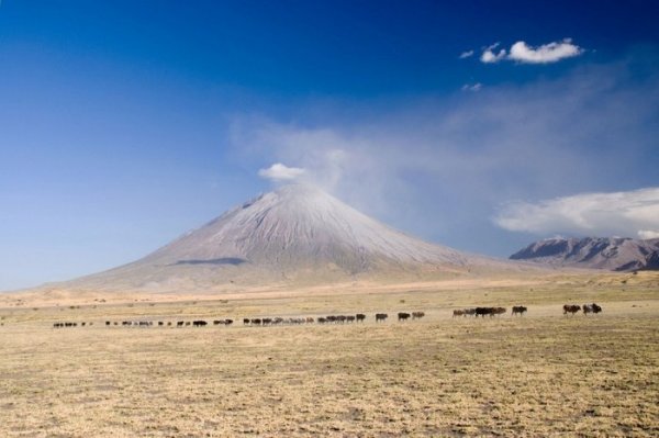 Уникальный вулкан Оль Дойньо Ленгаи, извергающийся при низкой температуре (17 фото)