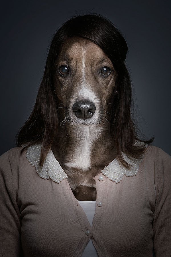 Портреты собак от Себастьяна Маньяни (8 фото)