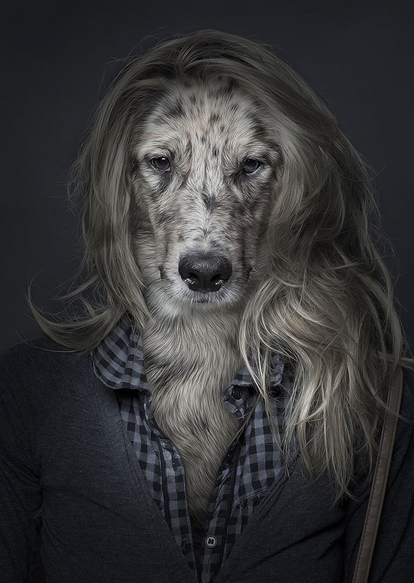 Портреты собак от Себастьяна Маньяни (8 фото)