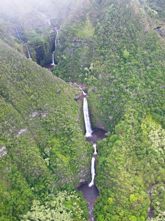 Утопающий в зелени водопад Хонокохау (7 фото)