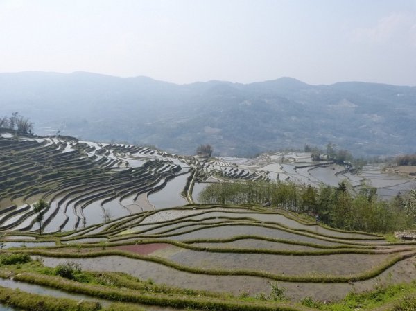 Рисовые террасы Хунхэ-Хани стали объектом Всемирного наследия ЮНЕСКО (15 фото)