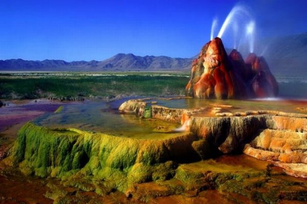 Удивительная красота геотермального гейзера Флай (15 фото)