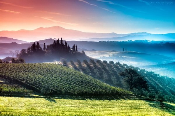 Холмы Тосканы в фотографиях Аднана Бубало (8 фото)