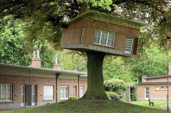 Самые необычные дома, построенные на деревьях (17 фото)