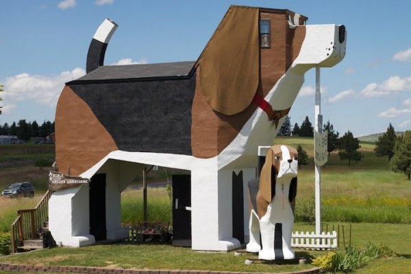 Необычный отель в виде собаки (9 фото)