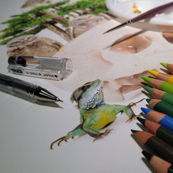 Рисунки, сделанные цветными карандашами, поражают своей реалистичностью (21 фото)