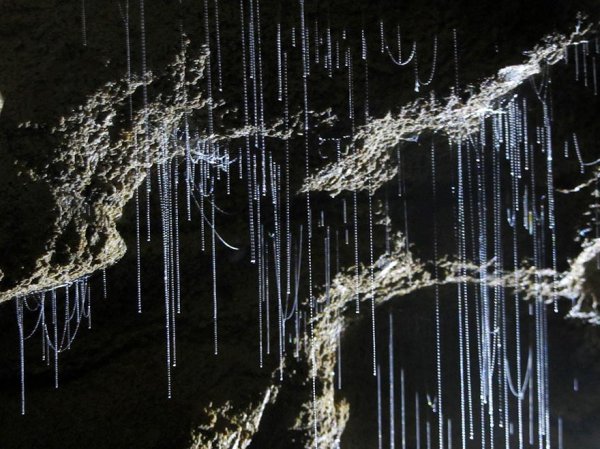 Самые живописные пещеры на планете (33 фото)