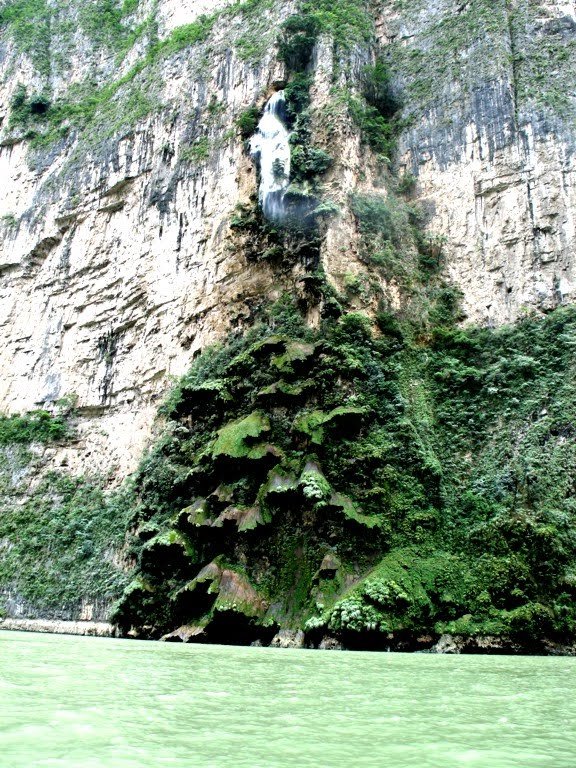 Арбол де Навидад – уникальный мексиканский водопад в форме Рождественской ёлки (6 фото + 2 видео)