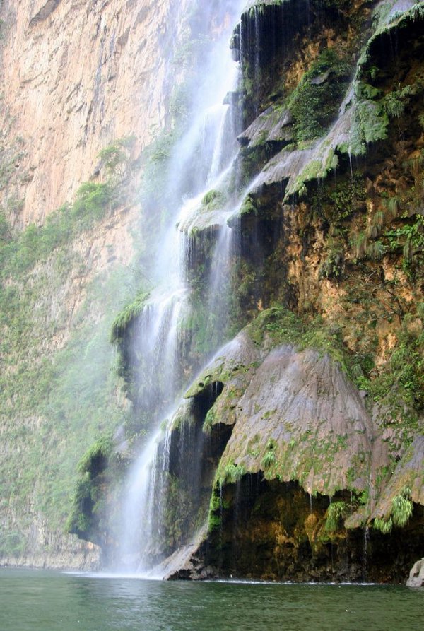 Арбол де Навидад – уникальный мексиканский водопад в форме Рождественской ёлки (6 фото + 2 видео)