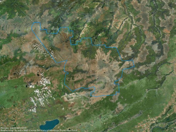 Васюганские болота: гигантский естественный фильтр (7 фото)