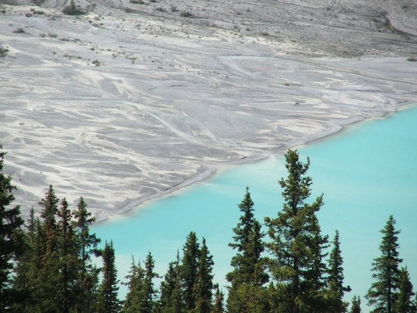 Озеро Пейто с бирюзовой водой – самое знаменитое в Канаде (9 фото)