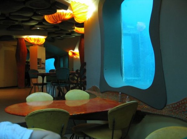 Уникальный подводный ресторан Red Sea Star (21 фото)