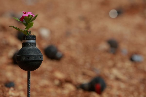 Женщина из Палестины посадила цветы в гранатах со слезоточивым газом израильской армии (10 фото)