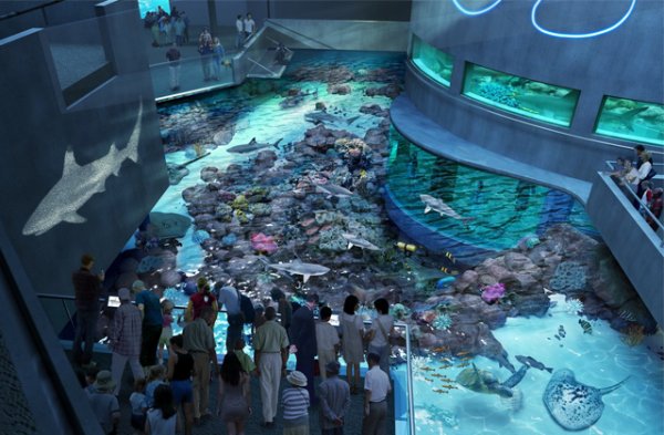Топ-10: Самые  крупные и поразительные аквариумы в мире