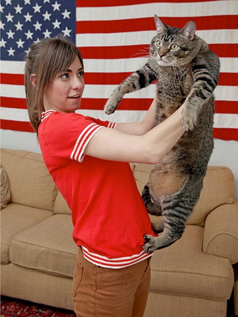 Гигантский кот Пиклс - Котазавр Рекс (8 фото)