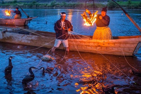 Юкай: Японское искусство рыбалки с бакланами (16 фото)