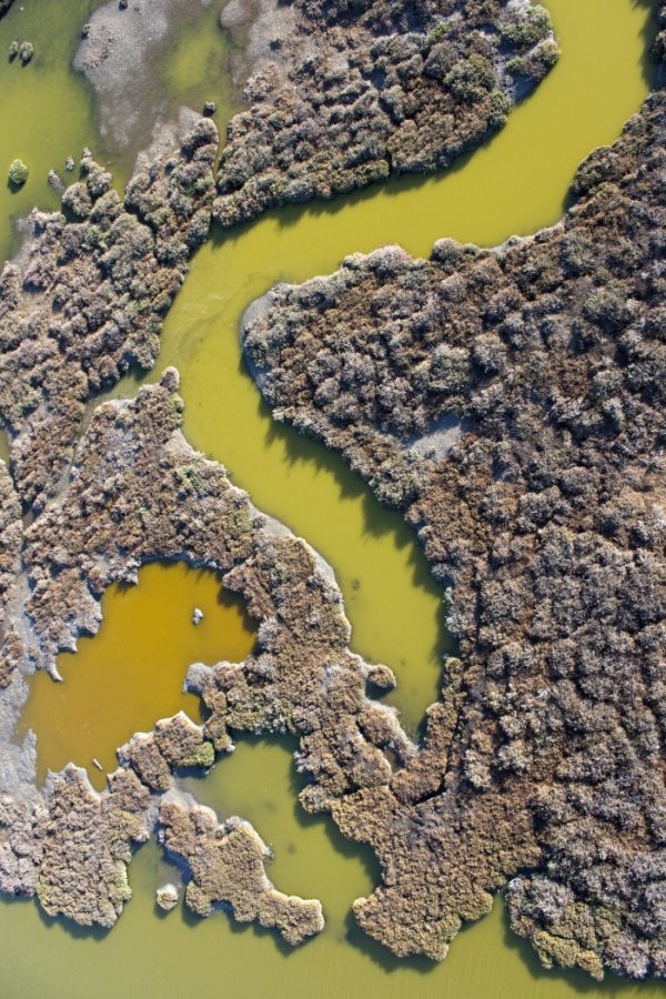 Цветовая палитра соляных прудов Калифорнии (13 фото)