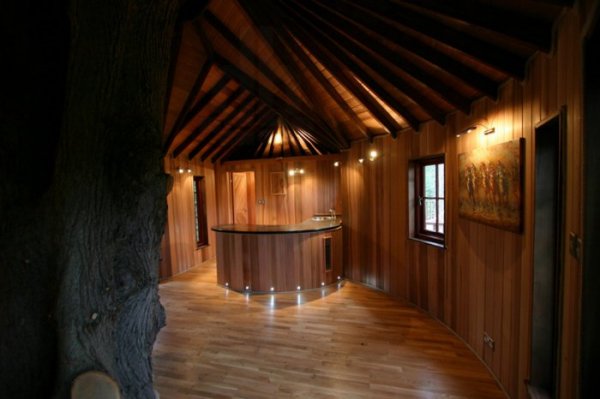 Лесной домик на дереве от Blue Forest (9 фото)