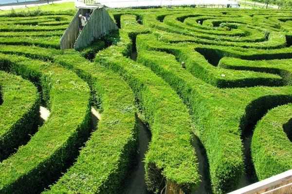 Зелёный лабиринт Longleat Hedge Maze в Англии (8 фото)