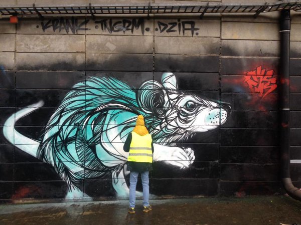 Уличный стрит-арт Dzia вдыхает новую жизнь в заброшенные городские кварталы (13 фото)