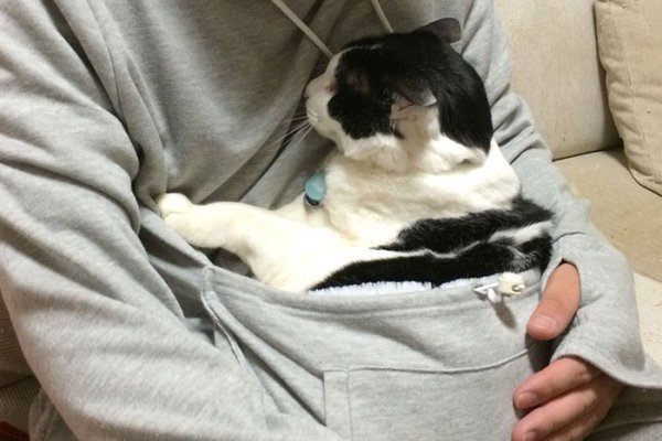 Толстовка с сумкой Mewgaroo для ношения кошек (12 фото)
