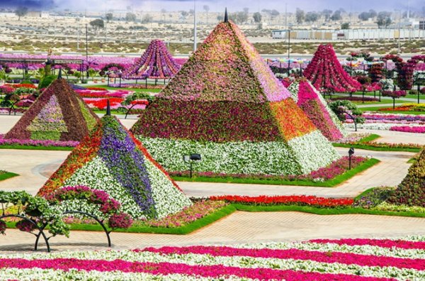 "Сад чудес" в Дубае (20 фото)
