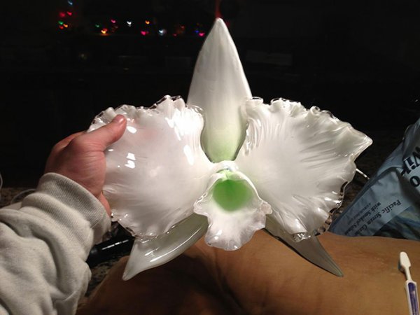 Стеклянные цветы Джейсона Гамрэта (16 фото)