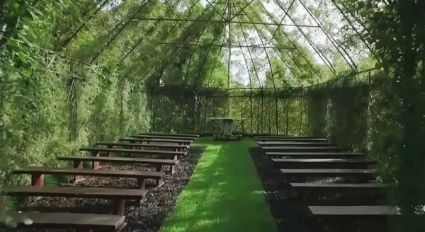 Зелёная церковь, выращенная из деревьев (9 фото)