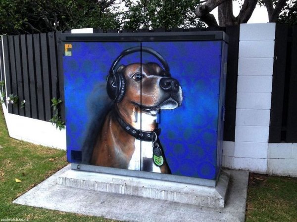 Рисунки популярных Интернет-мемов на улицах Окленда (16 фото)