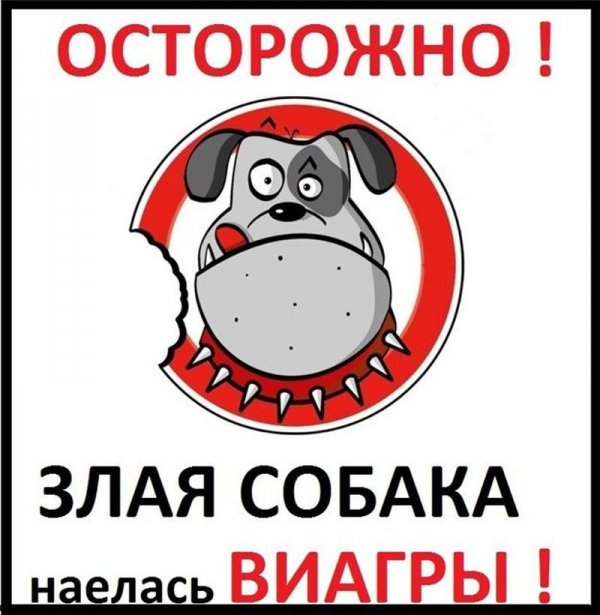 Прикольные таблички-предупреждения о собаках (21 фото)