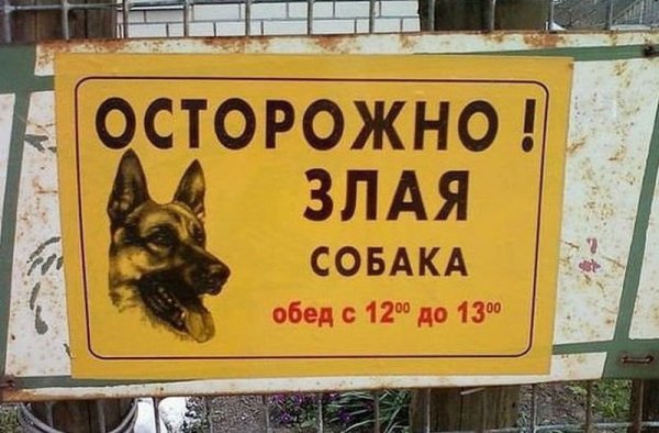 Прикольные таблички-предупреждения о собаках (21 фото)