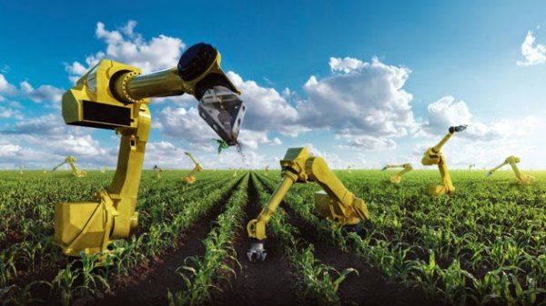 В Японии сельским хозяйством будут заниматься роботы