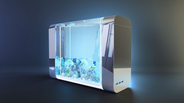 Специалисты создают Bluenero: первый интеллектуальный аквариум