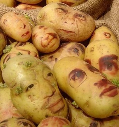 Иной взгляд на картофель