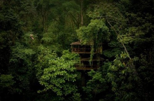 Коста-риканские дома на деревьях