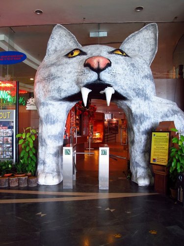Необычный музей кошек в Малайзии